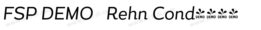 FSP DEMO   Rehn Cond字体转换